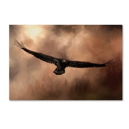 Jai Johnson 'Juvenile Bald Eagle In The Sepia Sky' Canvas Art,16x24